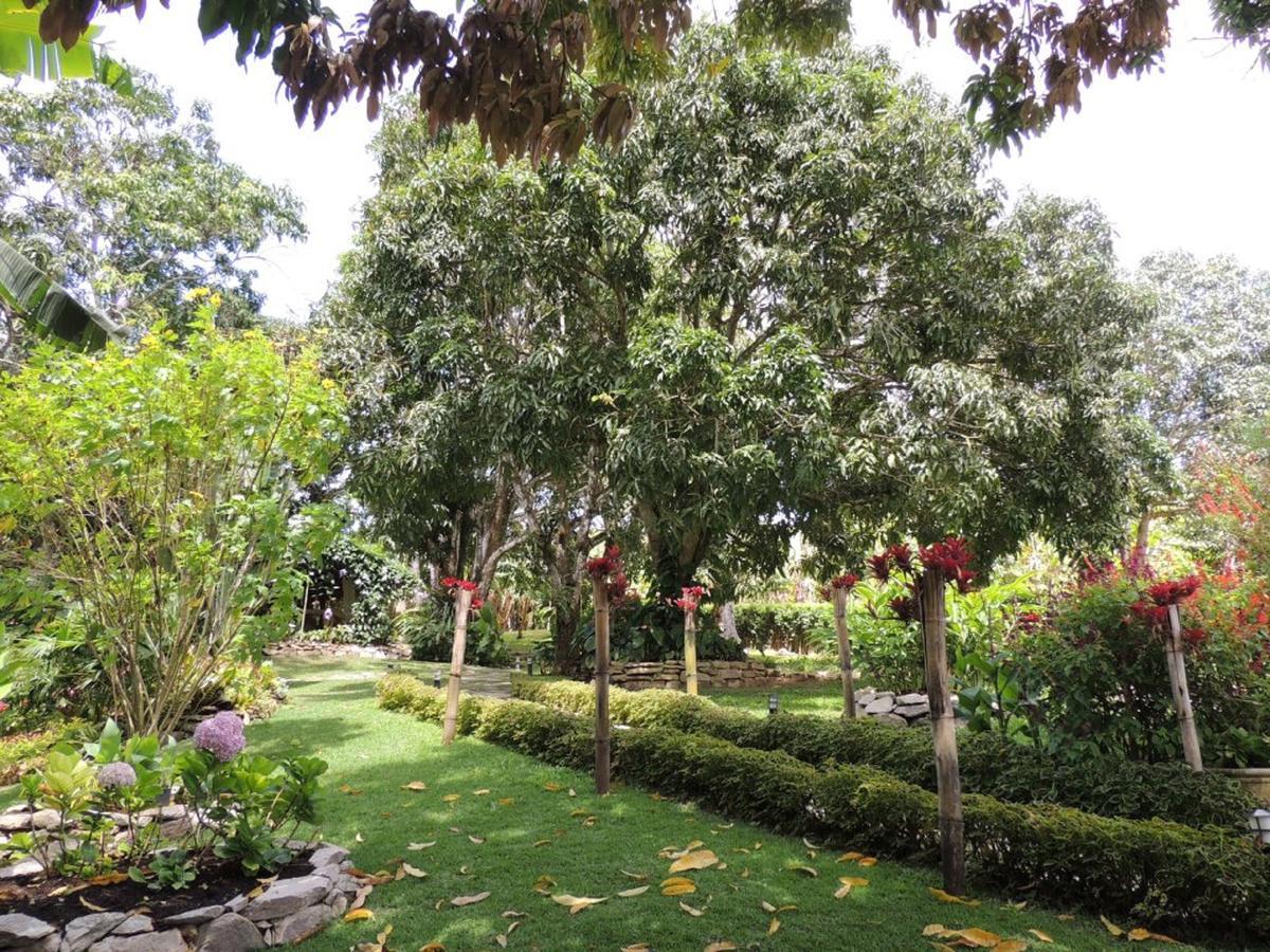 Sitio Alto Da Montanha - Voce Em Paz Com A Natureza Villa Pacoti Eksteriør billede