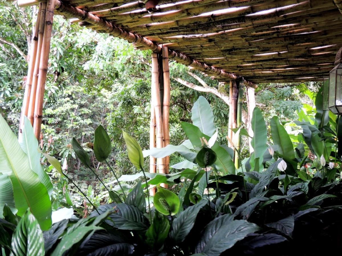 Sitio Alto Da Montanha - Voce Em Paz Com A Natureza Villa Pacoti Eksteriør billede