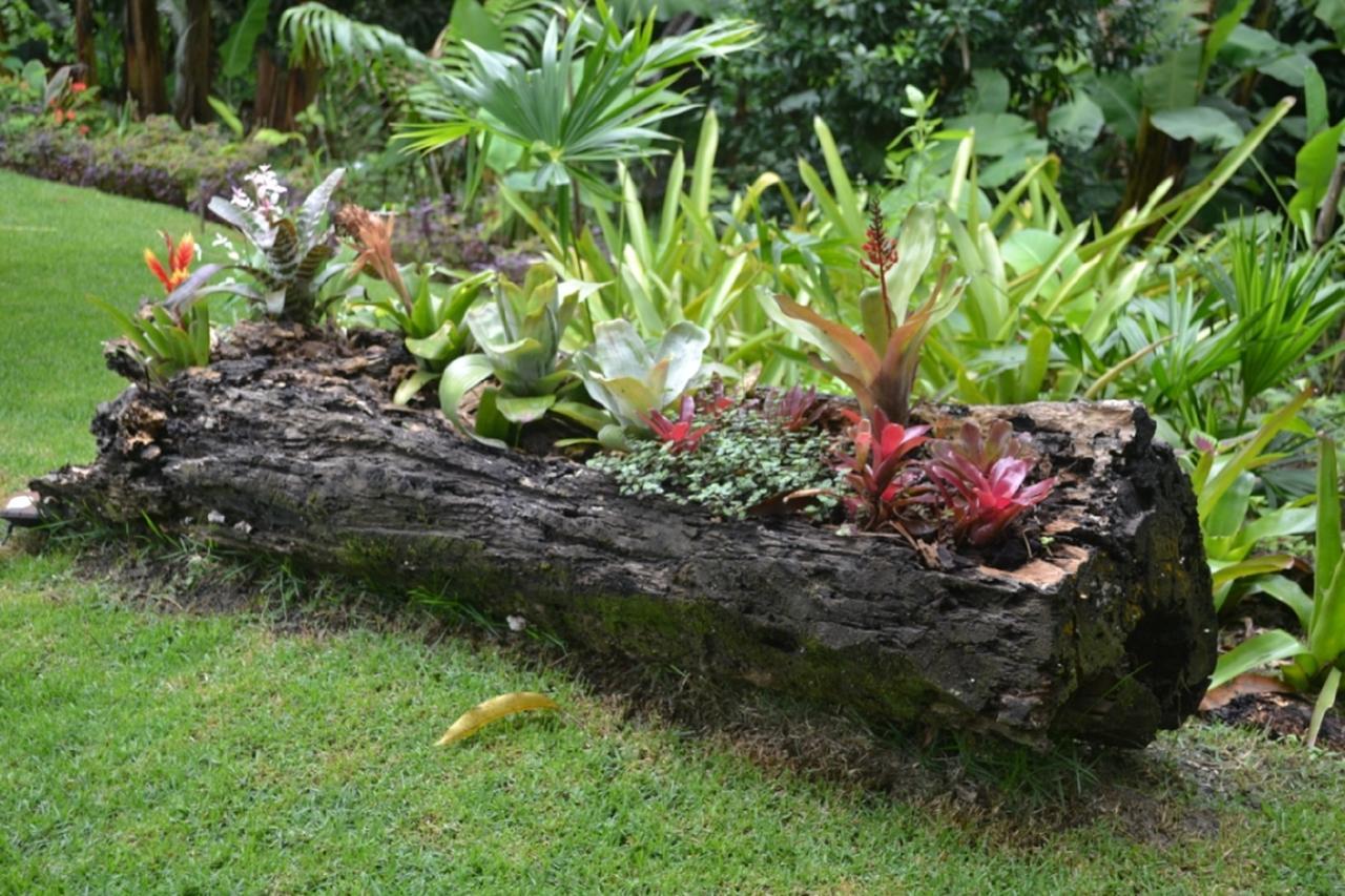 Sitio Alto Da Montanha - Voce Em Paz Com A Natureza Villa Pacoti Eksteriør billede