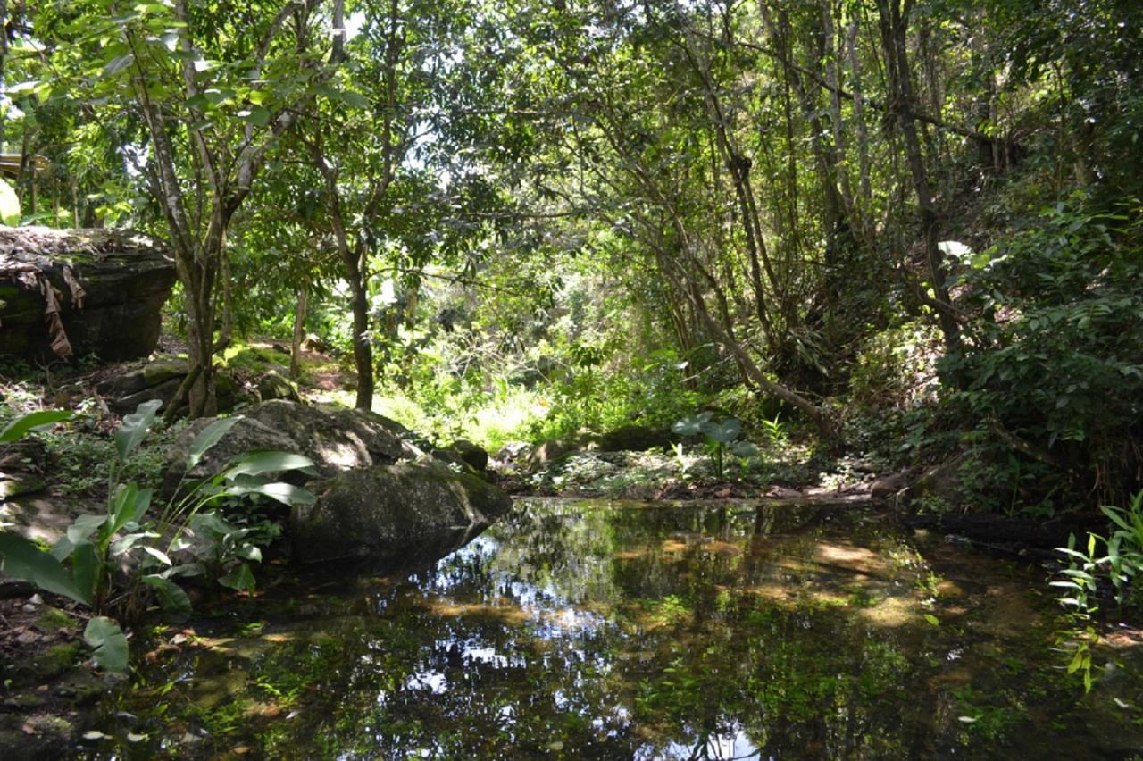 Sitio Alto Da Montanha - Voce Em Paz Com A Natureza Villa Pacoti Eksteriør billede